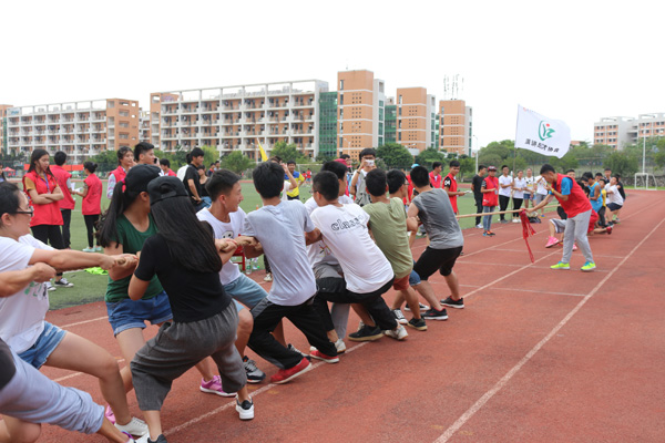 “三走”系列活动之拔河比赛
